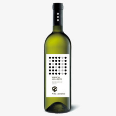 Bianco Vellente - Marche Bianco IGP