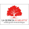 La Quercia Scarlatta
